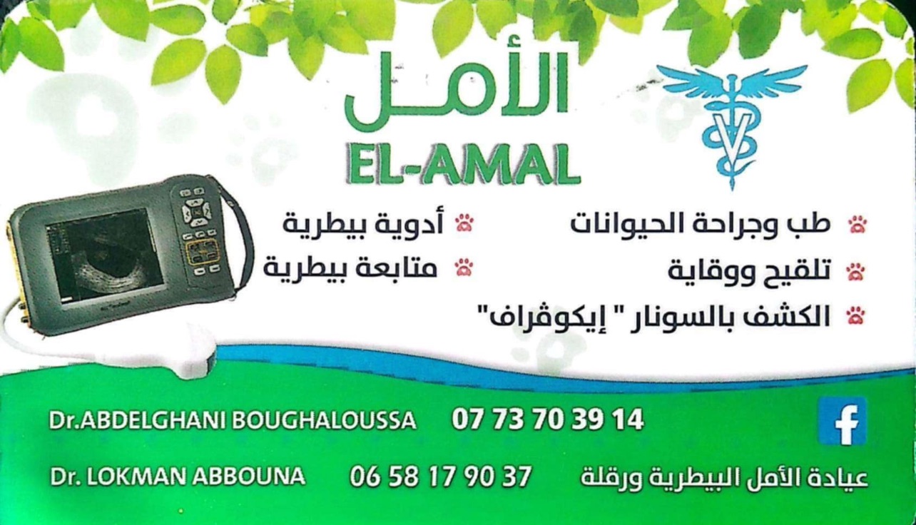 Carte visite veterinaire